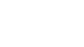 liz leeds